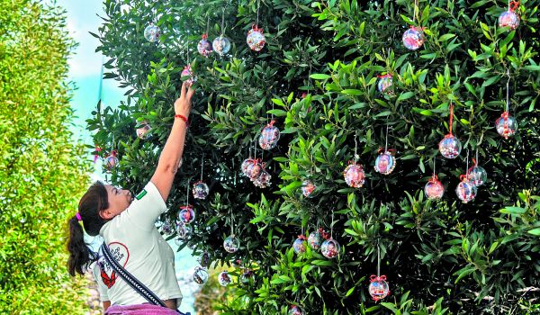 En diciembre, colectivos colocaron esferas con fotos de familiares extraviados frente al Palacio de Gobierno de Toluca. Cuartoscuro