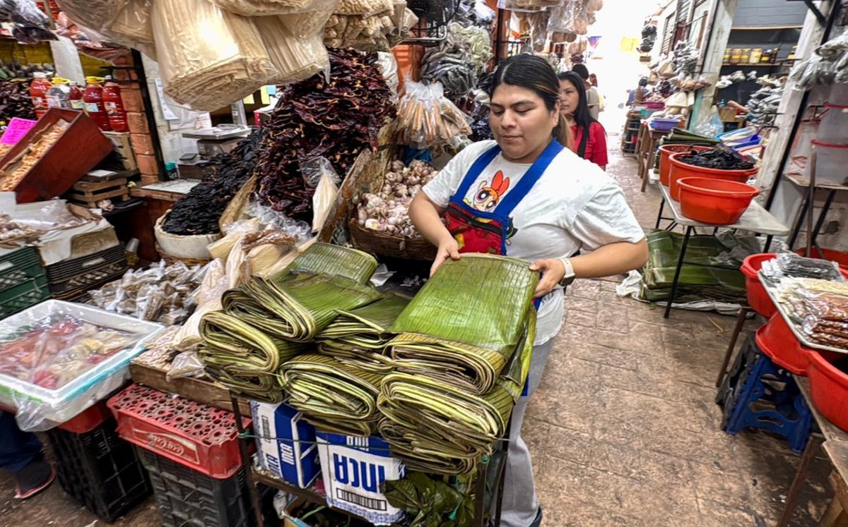 La escasez de hoja de plátano elevó su precio en el sur de Tamaulipas. | Mario Juárez