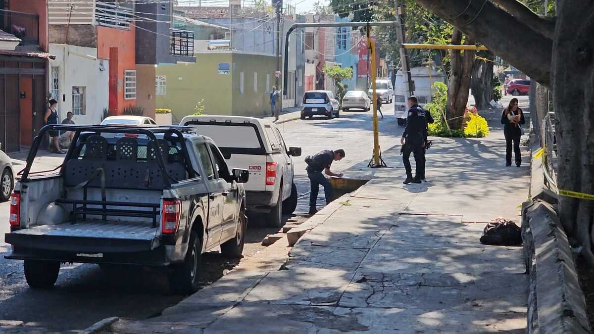 El hallazgo ocurrió en un parque de Guadalajara. (Juan Carlos Munguía)