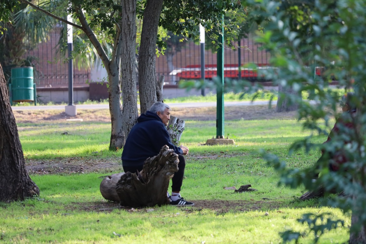 En MILENIO te decimos el pronóstico en Torreón, Gómez Palacio y Lerdo para este miécoles 7 de enero. | Vrónica Rivera