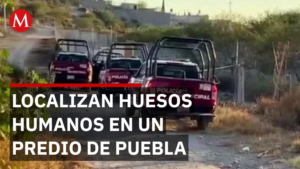 En Puebla, encuentran restos óseos de humanos en Tehuacán