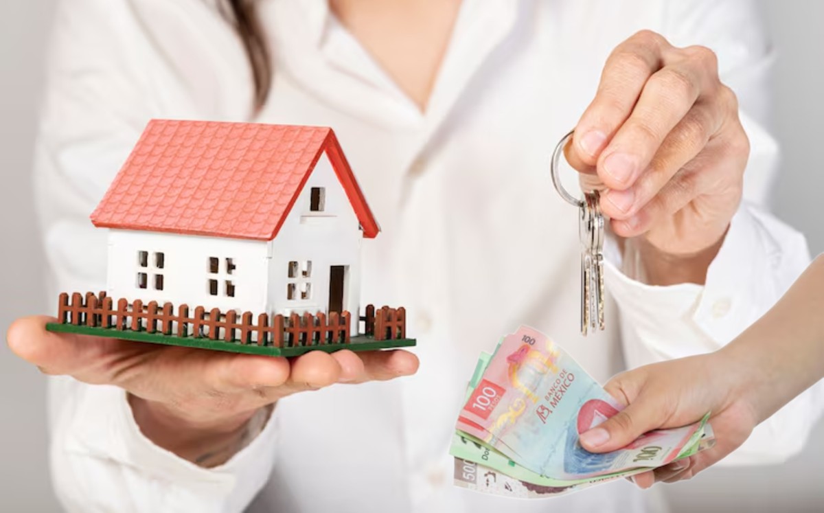 Los recursos recaudados ayudaran al mantenimiento de calles limpias, la recuperación de espacios públicos entre otros. | Freepik