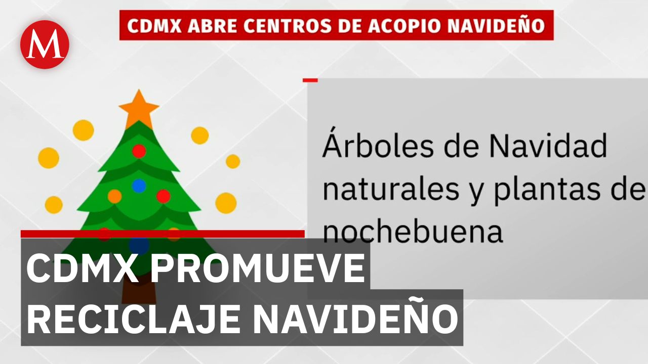 CdMx abre centros para recolectar árboles de Navidad y plantas de Nochebuena
