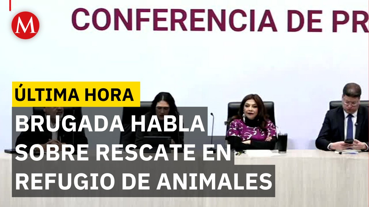Clara Brugada habla sobre rescate en refugio Franciscano en Cuajimalpa