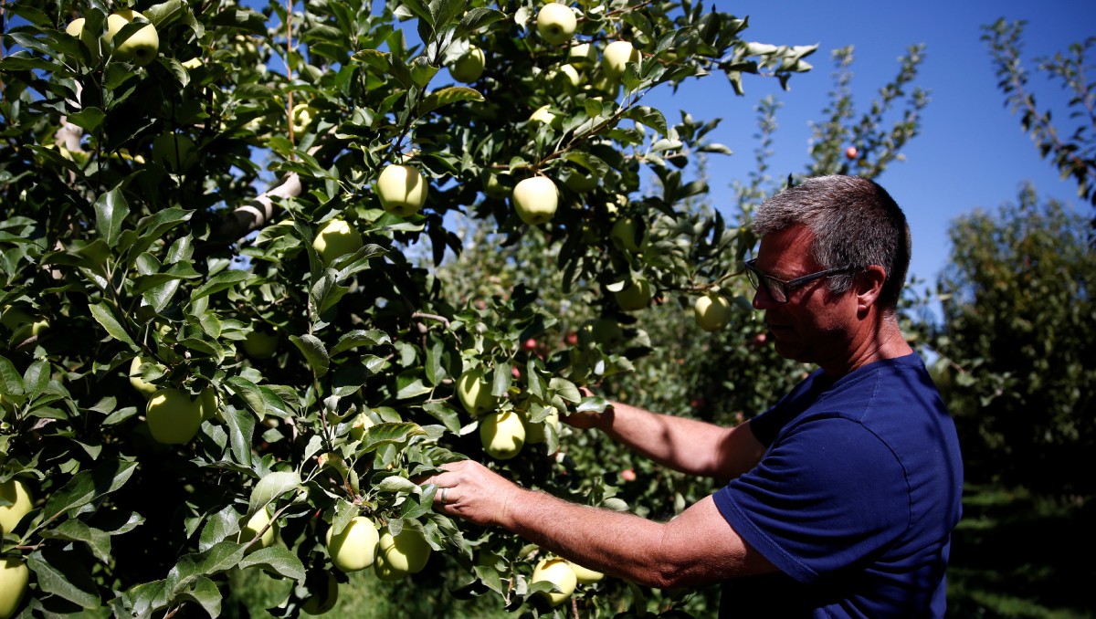 La dependencia federal expuso que la investigación abarca las importaciones que ingresan por medio de cierta fracción arancelaria. Foto: Reuters