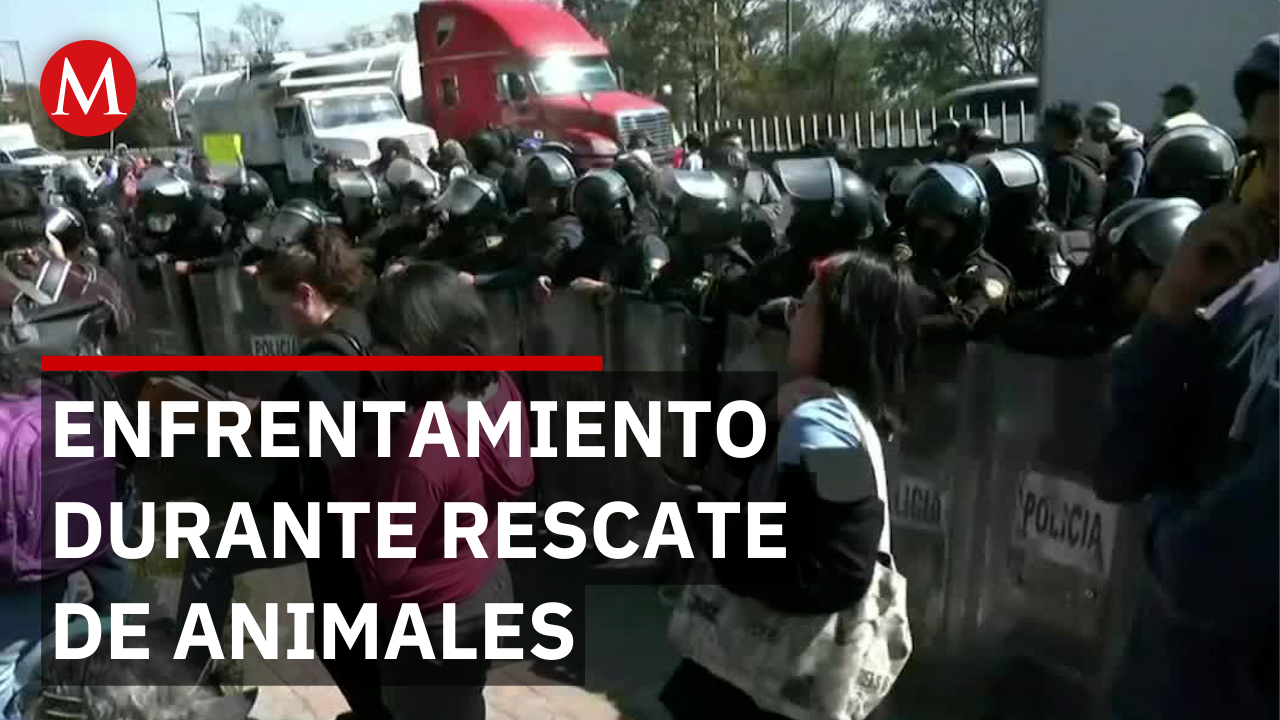 Enfrentamiento con policías durante rescate de animales en Cuajimalpa