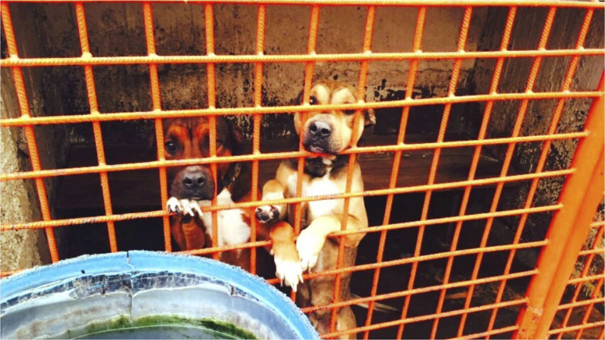 Esto ha pasado con el Refugio Franciscano de la CdMx | Cuartoscuro