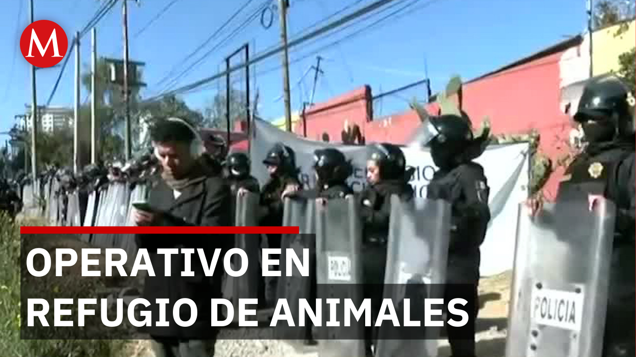Operativo en refugio de animales en Cuajimalpa por denuncias de maltrato