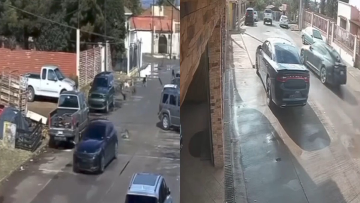 En Sonora, investigan caso de crueldad animal; atropellaron intencionalmente a tres perros | Captura