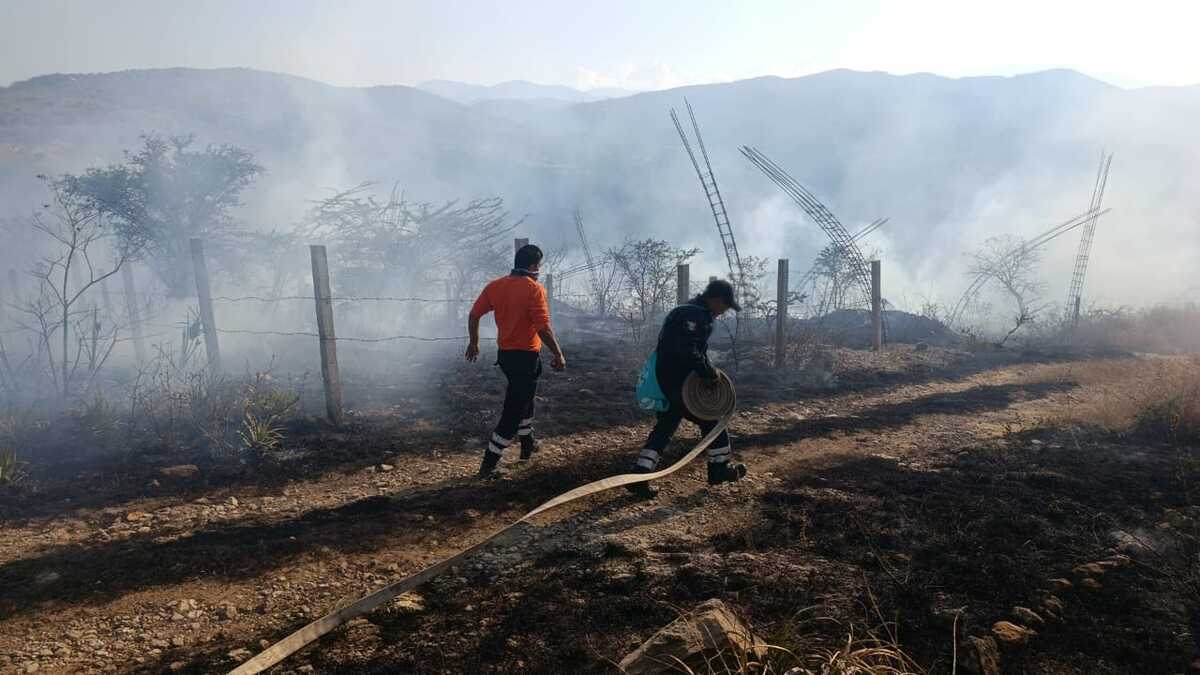 El fuego provocó la muerte de aves de corral y fauna silvestre. | Especial