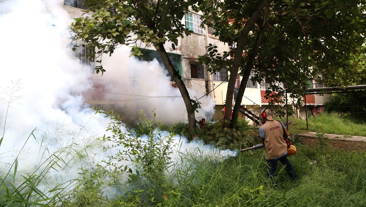Fumigación contra el dengue en Tampico. (Yazmín Sánchez)