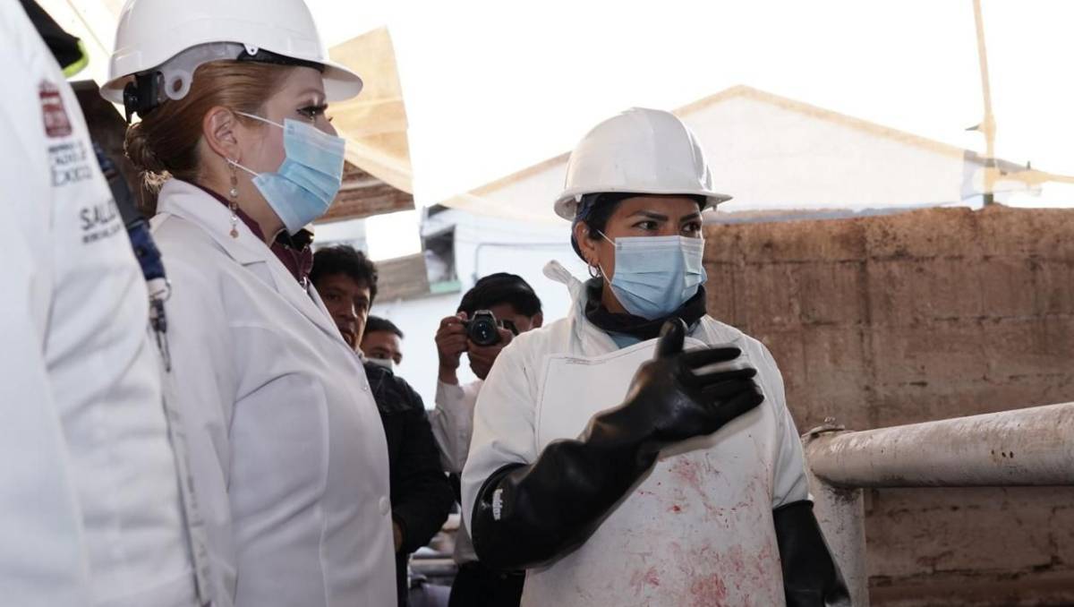 Macarena Montoya Olvera, realizó una visita de verificación al rastro municipal de Zinacantepec. Especial