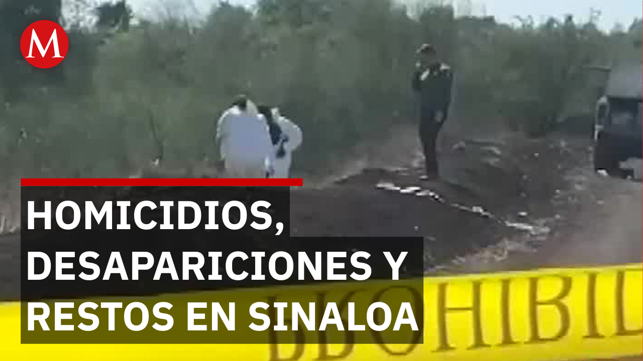 Reporte delictivo en Sinaloa: homicidio doloso y hallazgo de restos óseos