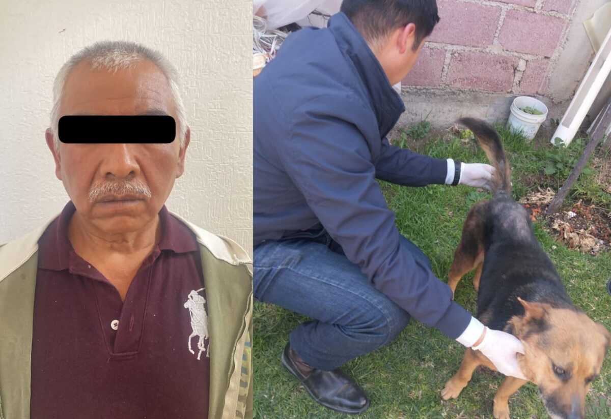 Hombre detenido por presunto maltrato contra una perrita. (Cortesía)
