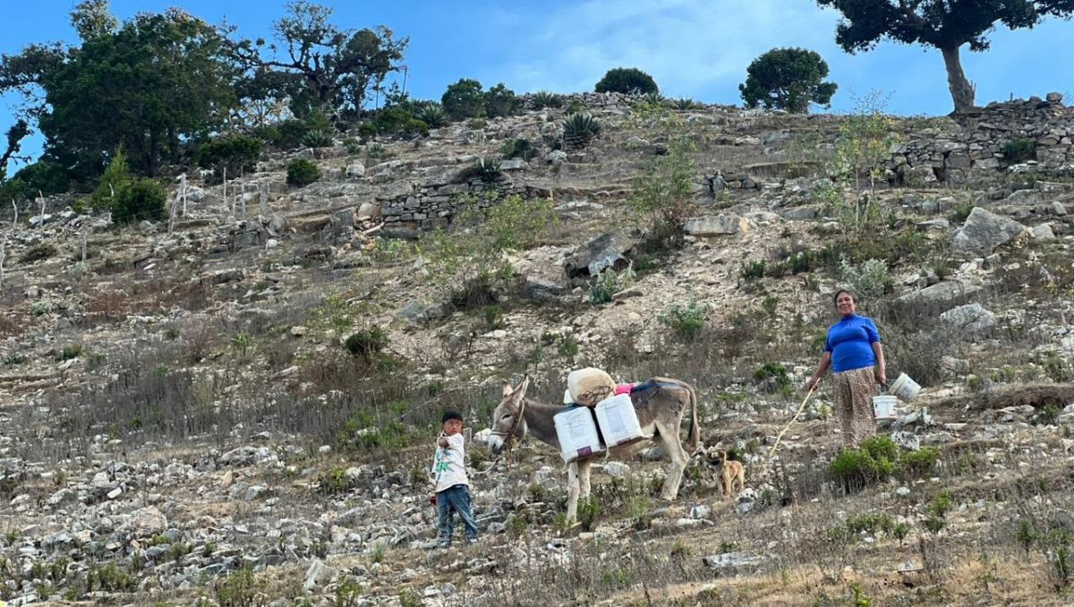 Los niños ayudan a sus padres y abuelos a cargar agua para llevarla a sus hogares, en zonas rurales apartadas. Édgar Plata