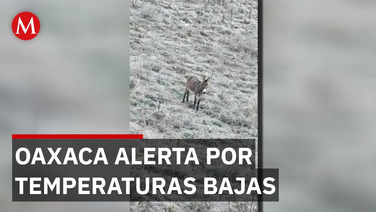 En Oaxaca, alerta por temperaturas bajas por frente frío 27, riesgo por rachas de viento violentas