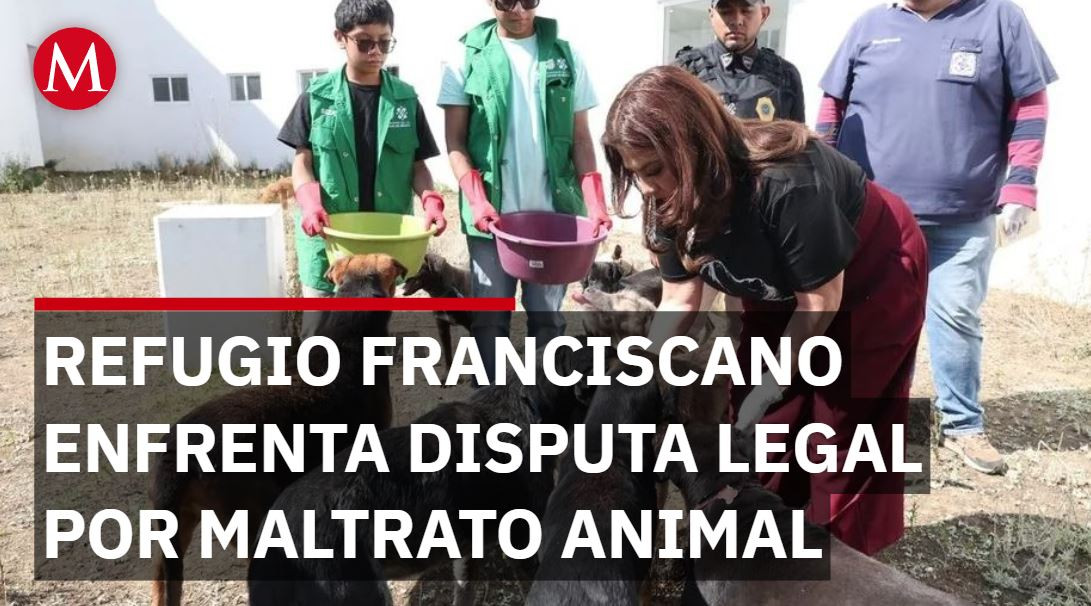 Refugio Franciscano enfrenta disputa legal y acusación por maltrato animal