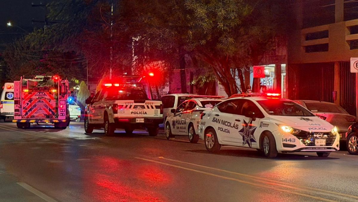 Los hechoc ocurrieron en un domicilio ubicado sobre la avenida Cordillera de los Andes. Fernanda Pérez