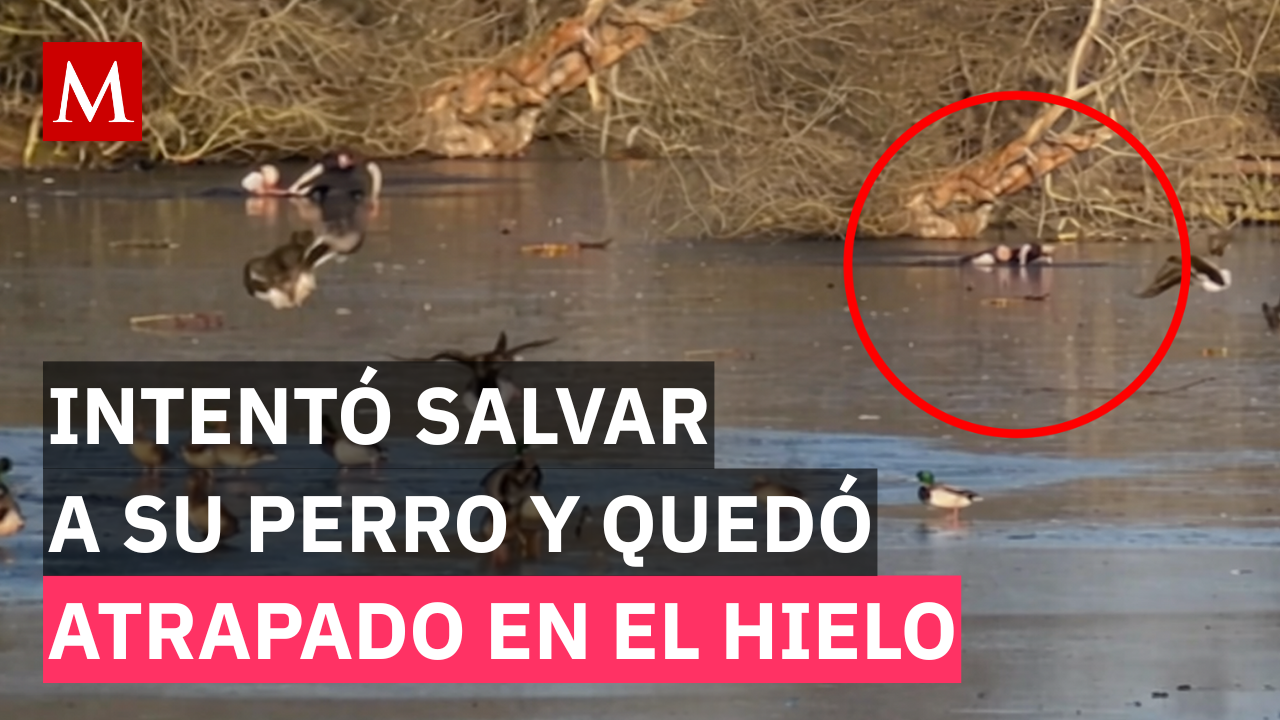 Hombre se lanza a lago congelado para salvar a su perro... y cae al agua