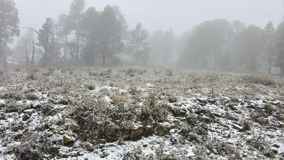 Las corporaciones de auxilio mantienen recorridos y un monitoreo permanente en la zona | Especial