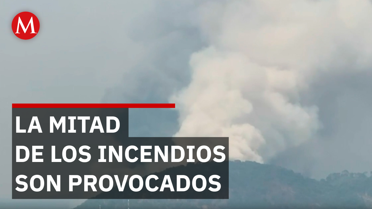 Edomex: 50% de incendios forestales serían provocados por quemas humanas