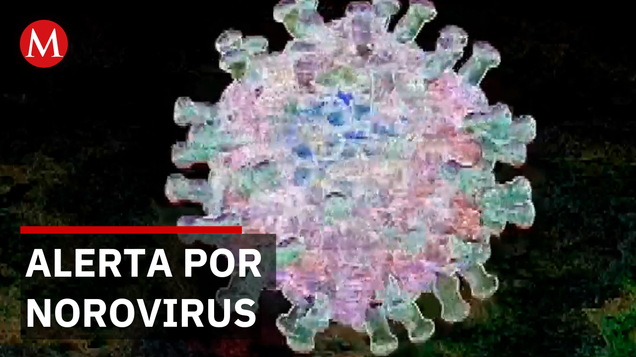 Norovirus genera alerta por contagios vía alimentos y agua contaminada