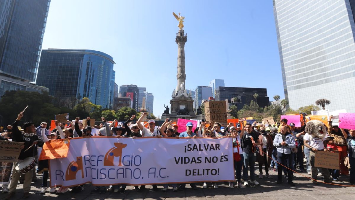Refugio Franciscano protesta frente al Ángel de la Independencia este domingo 11 de enero. Foto: (Especial)