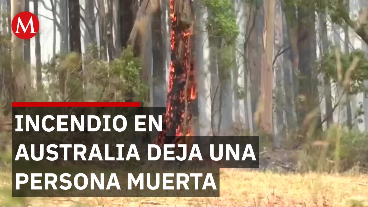 En Australia, muere una persona en un incendio forestal en Victoria