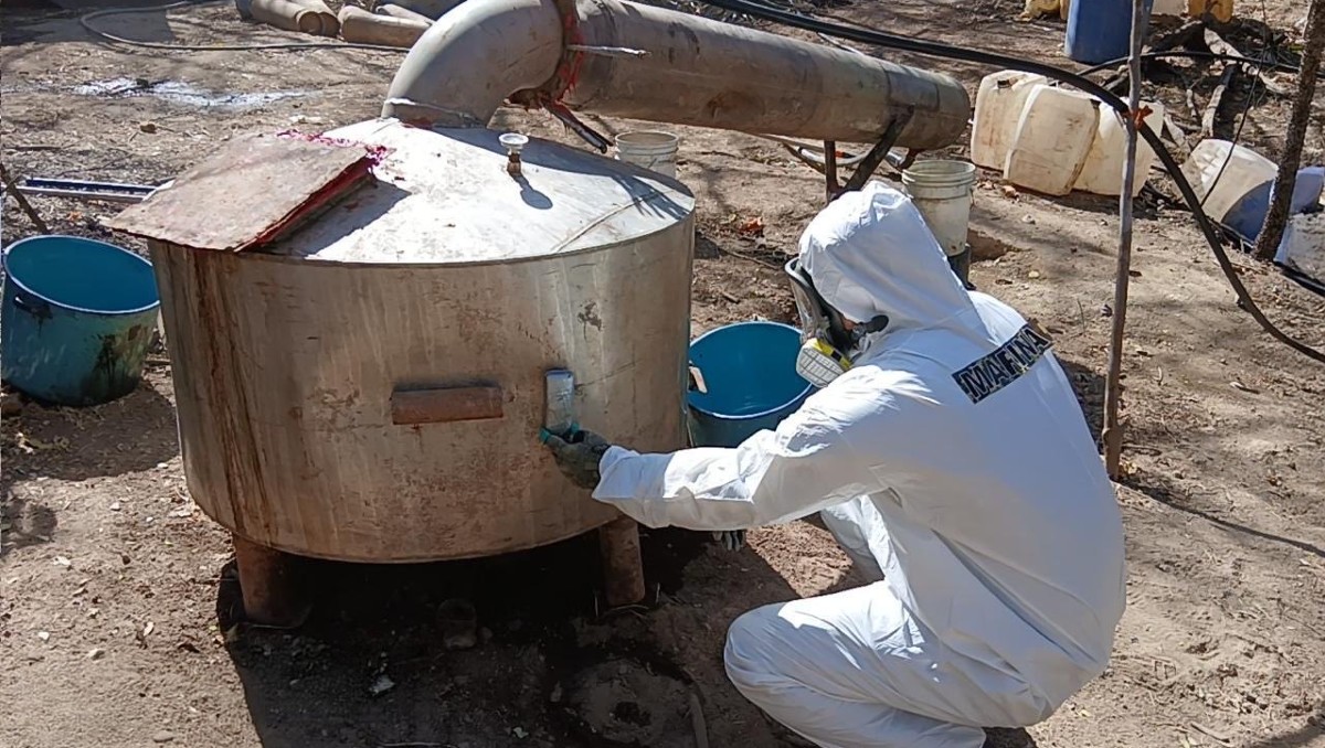 Autoridades desmantelaron tres narcolaboratorios en tres entidades, indicó Omar García Harfuch. | Especial