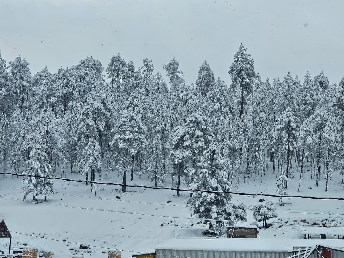 El frío extremo marca la vida diaria, limita la agricultura y define la resistencia de generaciones acostumbradas a sobrevivir.| Gilberto Lastra