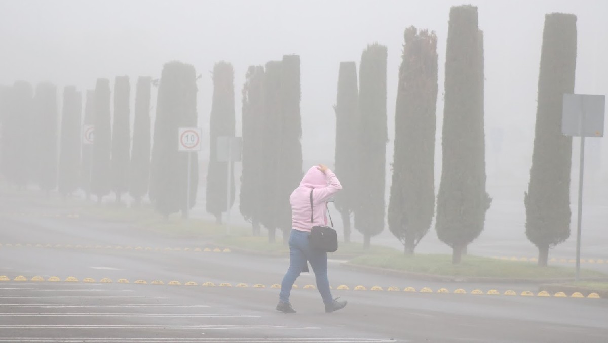 Las heladas sorprendieron a municipios del noreste de Guanajuato.