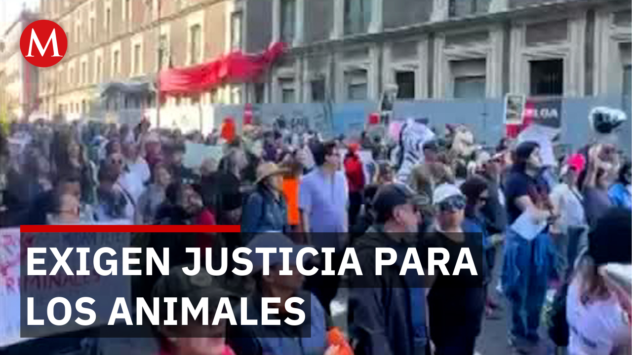 Marchan por animales desalojados y exigen claridad al gobierno