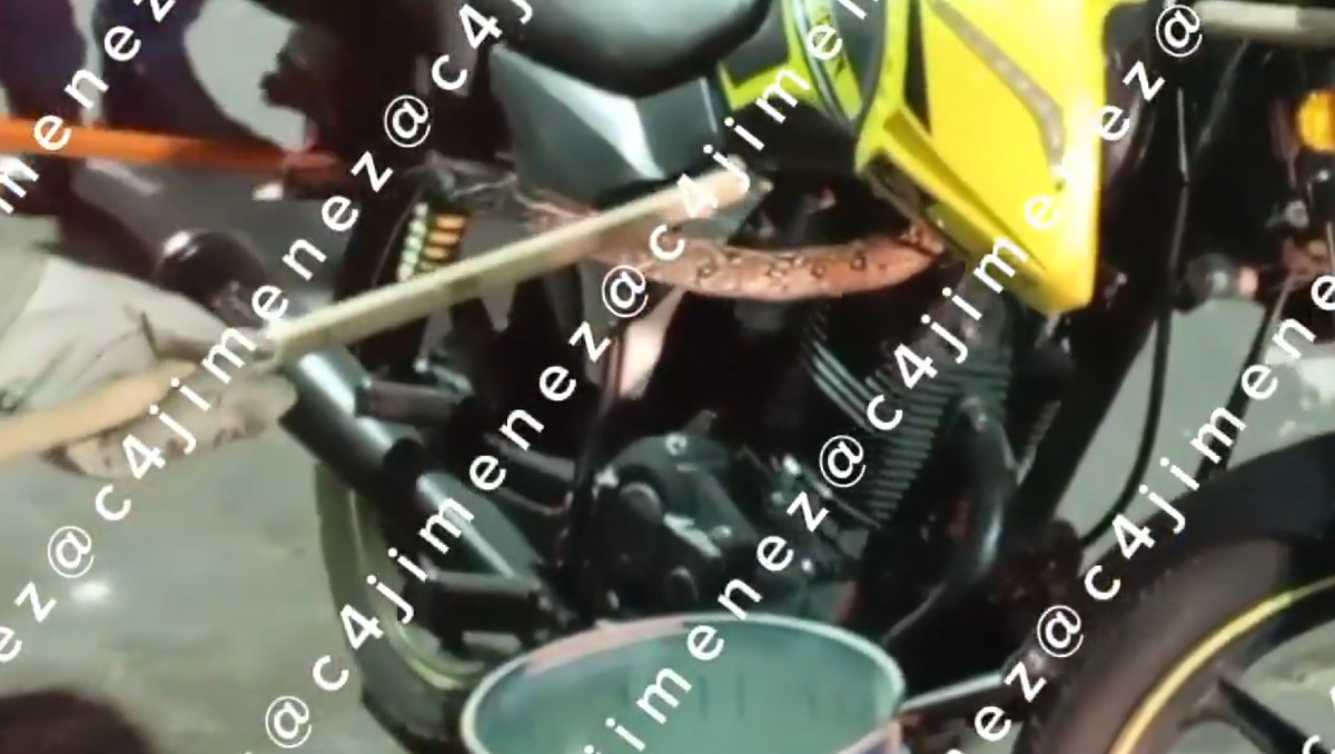 La motocicleta era marca Vento, y el animal se aferró a ella. | Especial