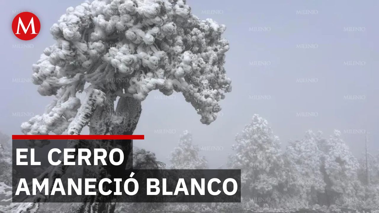 Caída de nieve cubre el Cerro del Potosí en Nuevo León