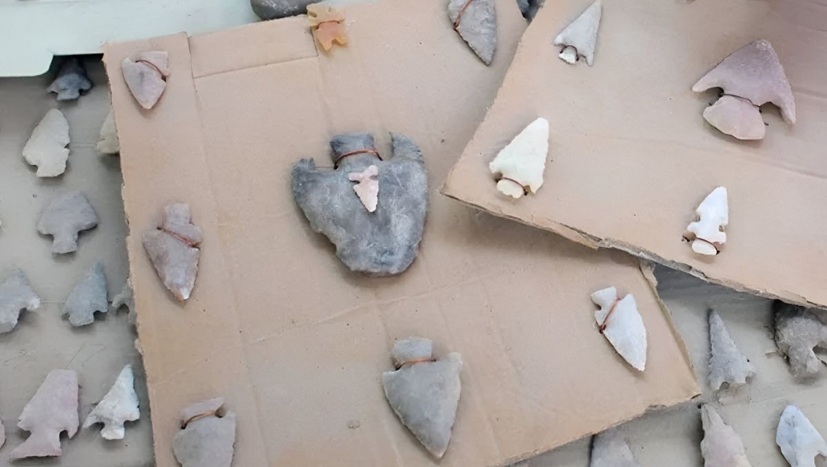 Francisco expresó que la denuncia se hizo contra quienes son posibles sospechosos. | Archivo