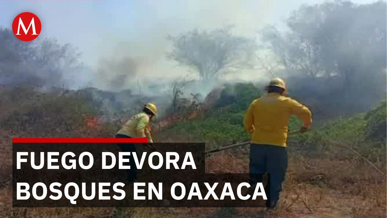 Incendios forestales en Oaxaca afectan más de 400 hectáreas
