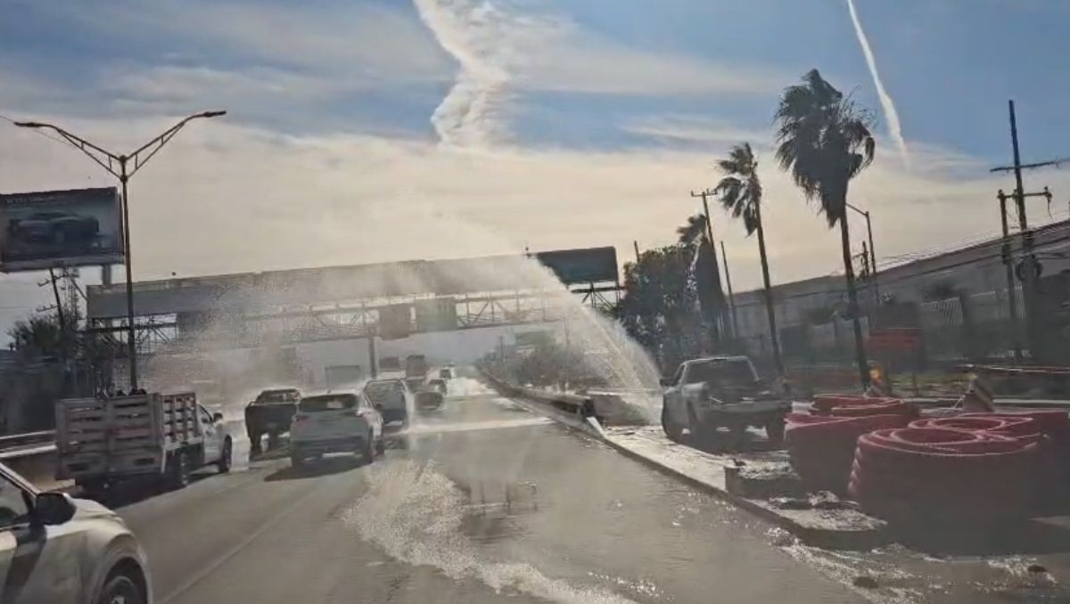 La mega fuga se registró sobre la avenida Miguel Alemán  casi a la altura con Isidoro Sepúlveda. | Especial