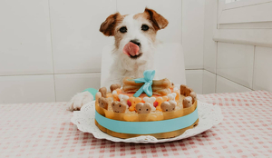 cómo hacer un pastel para perros saludable