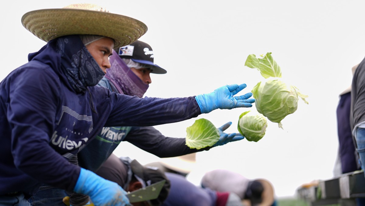 Activistas piden aprovechar el T-MEC para devolver impuestos a migrantes