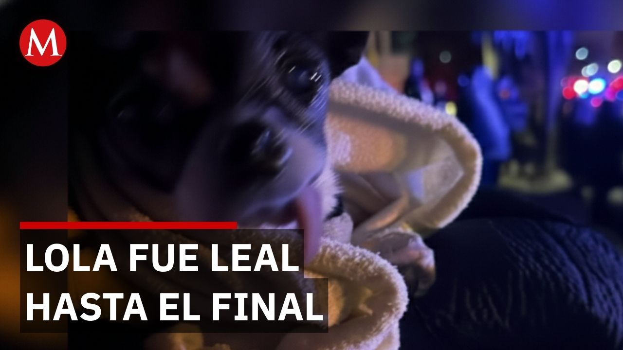 Agresor de Teresa y Cindy también terminó con la vida de Lola, la mascota de la familia