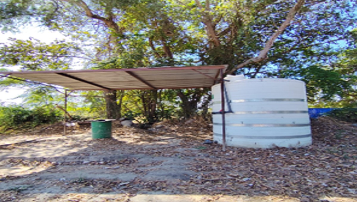 Aseguran 325 mil litros de hidrocarburo tras cuatro cateos en Colima