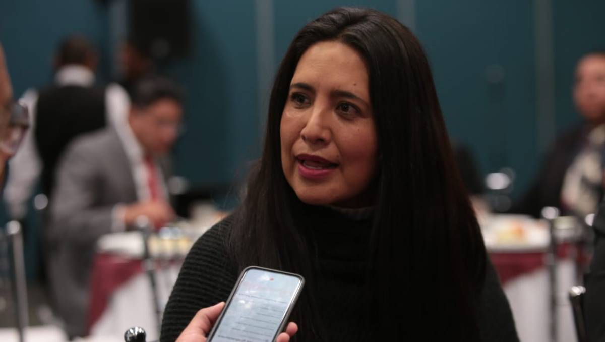 Nelly Carrasco Godínez, informó que hay una alta posibilidad de que se reactive durante el mundial de fútbol 2026. Foto: Tania Contreras