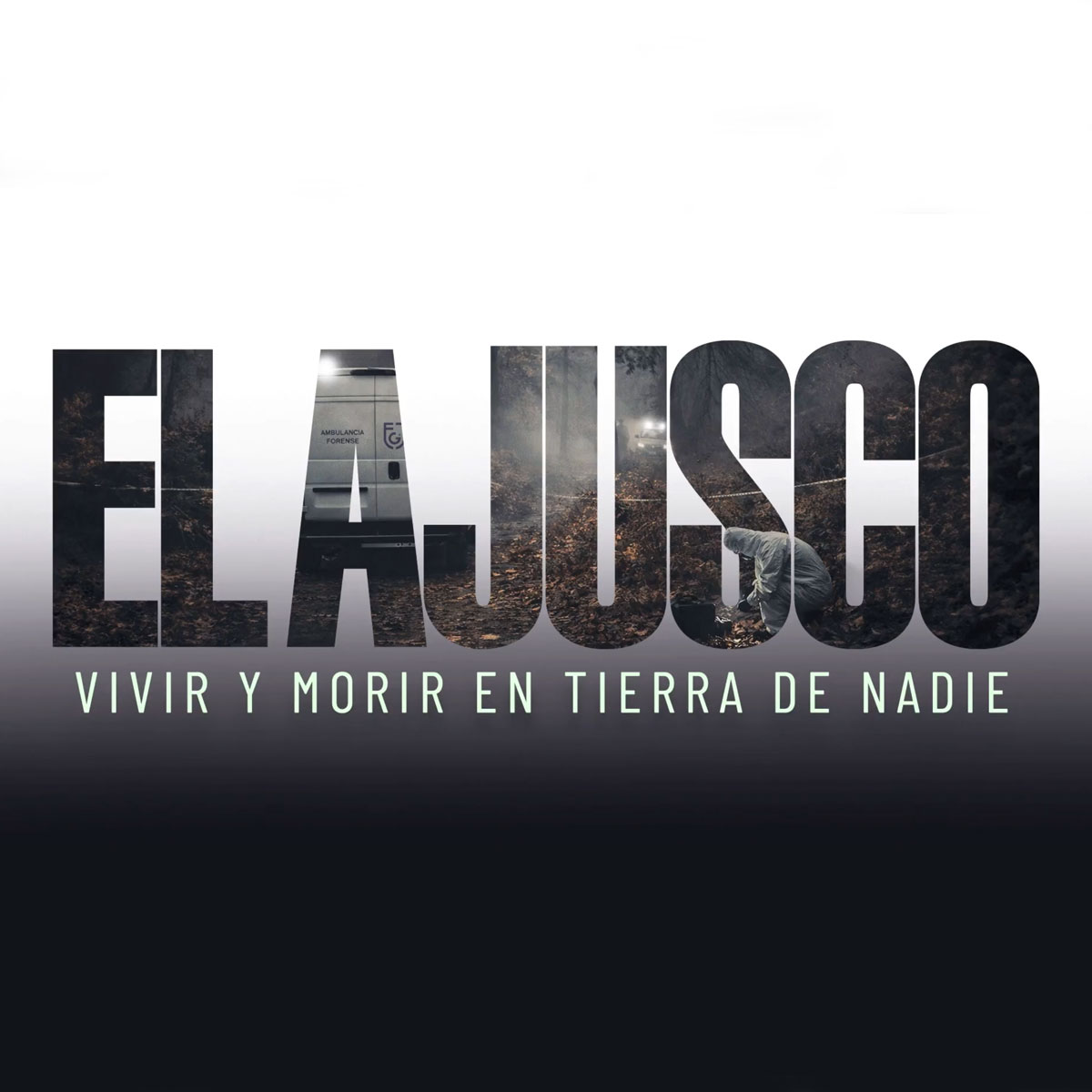 Lo que antes era refugio natural hoy es escenario de desapariciones: el Ajusco, una herida abierta en el sur de la Ciudad de México