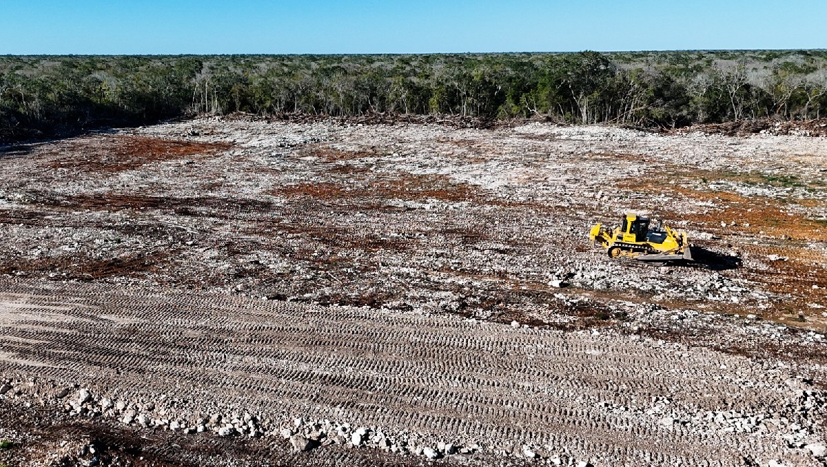 Las autoridades no han reportado personas detenidas por las obras. | Especial