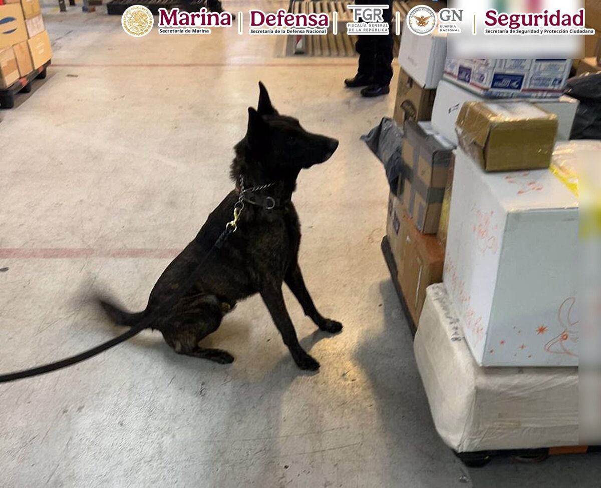 Las instituciones del Gabinete de Seguridad refrendan su compromiso. (Foto: especial)