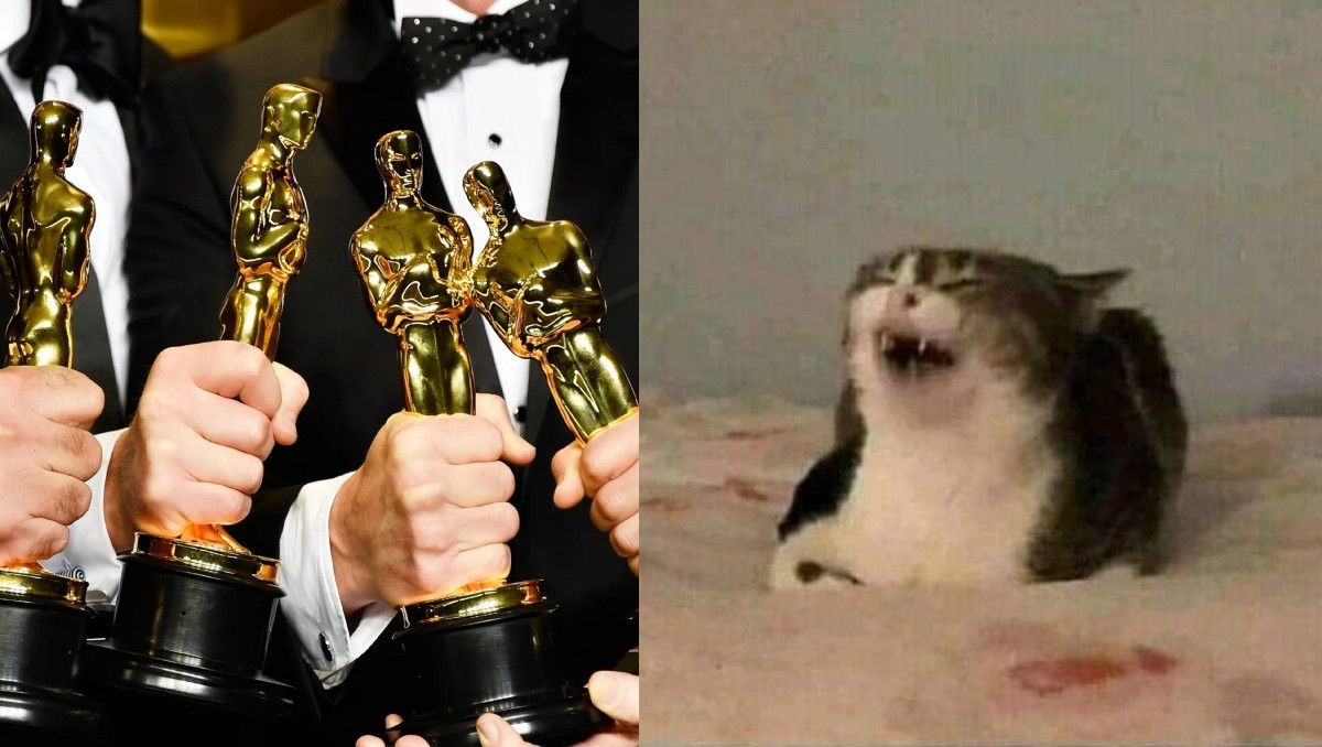 Meme de las nominaciones a los Oscar 2026. | FOTO. Redes sociales