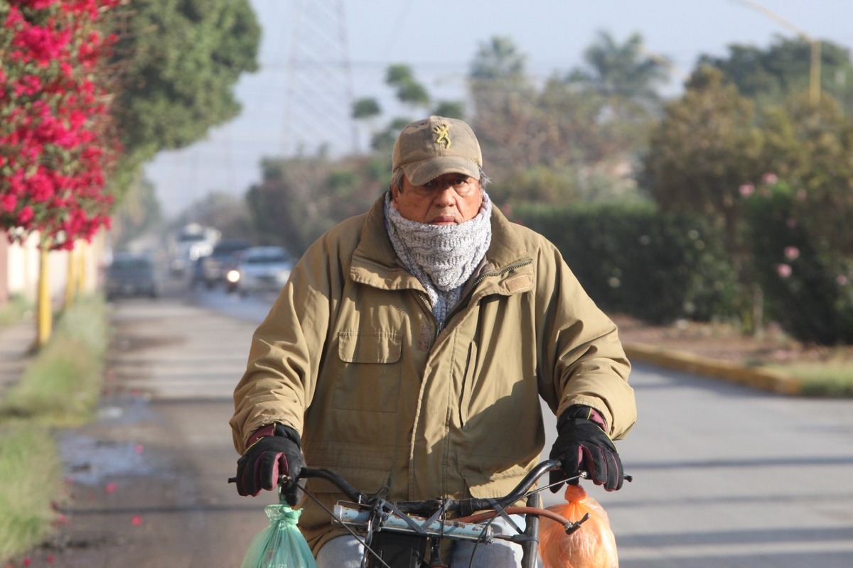 En MILENIO te decimos el pronóstico para este sábado 17 de enero. | Verónica Rivera