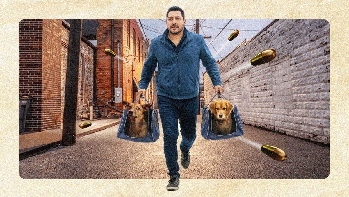 Los tentáculos del crimen organizado se han extendido a refugios y espacios dedicados al rescate animal | Milenio