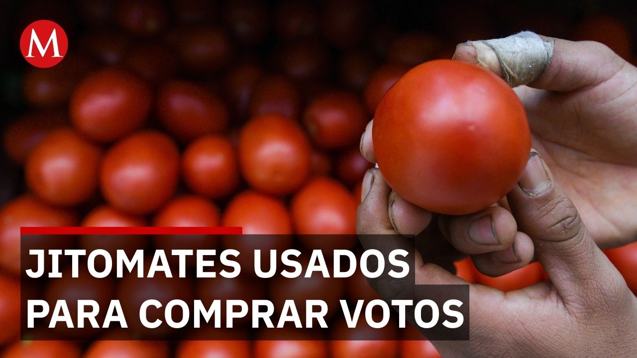 Video exhibe presunta afiliación y compra de votos con jitomates ligada a Morena en Hidalgo