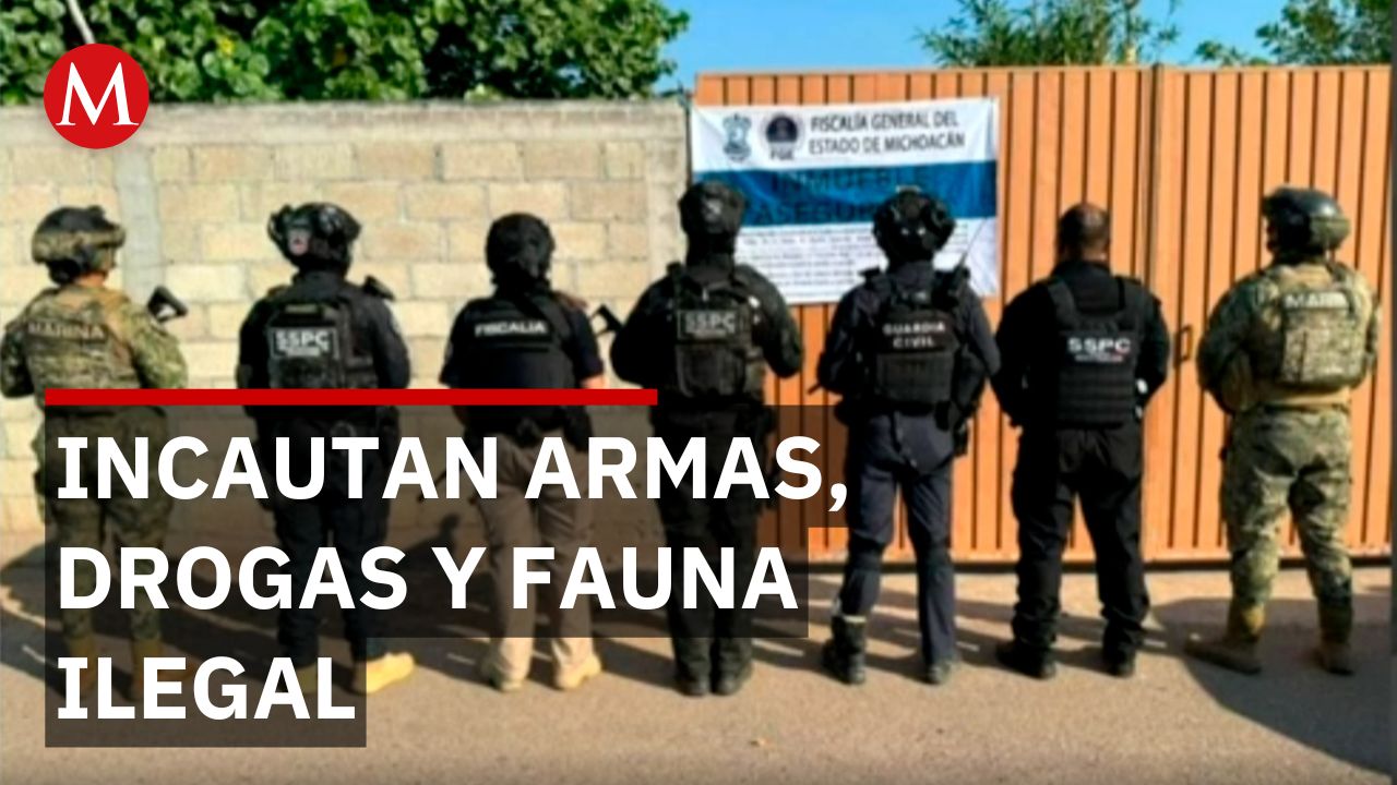 Detienen a siete personas con armas, drogas y animales exóticos en Huetamo